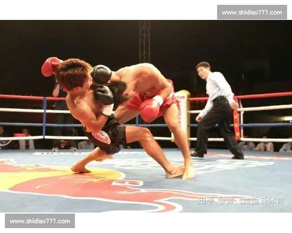 柳海龙vs苑玉宝巅峰对决中国力量与技术的终极较量赛场风云再起谁主沉浮